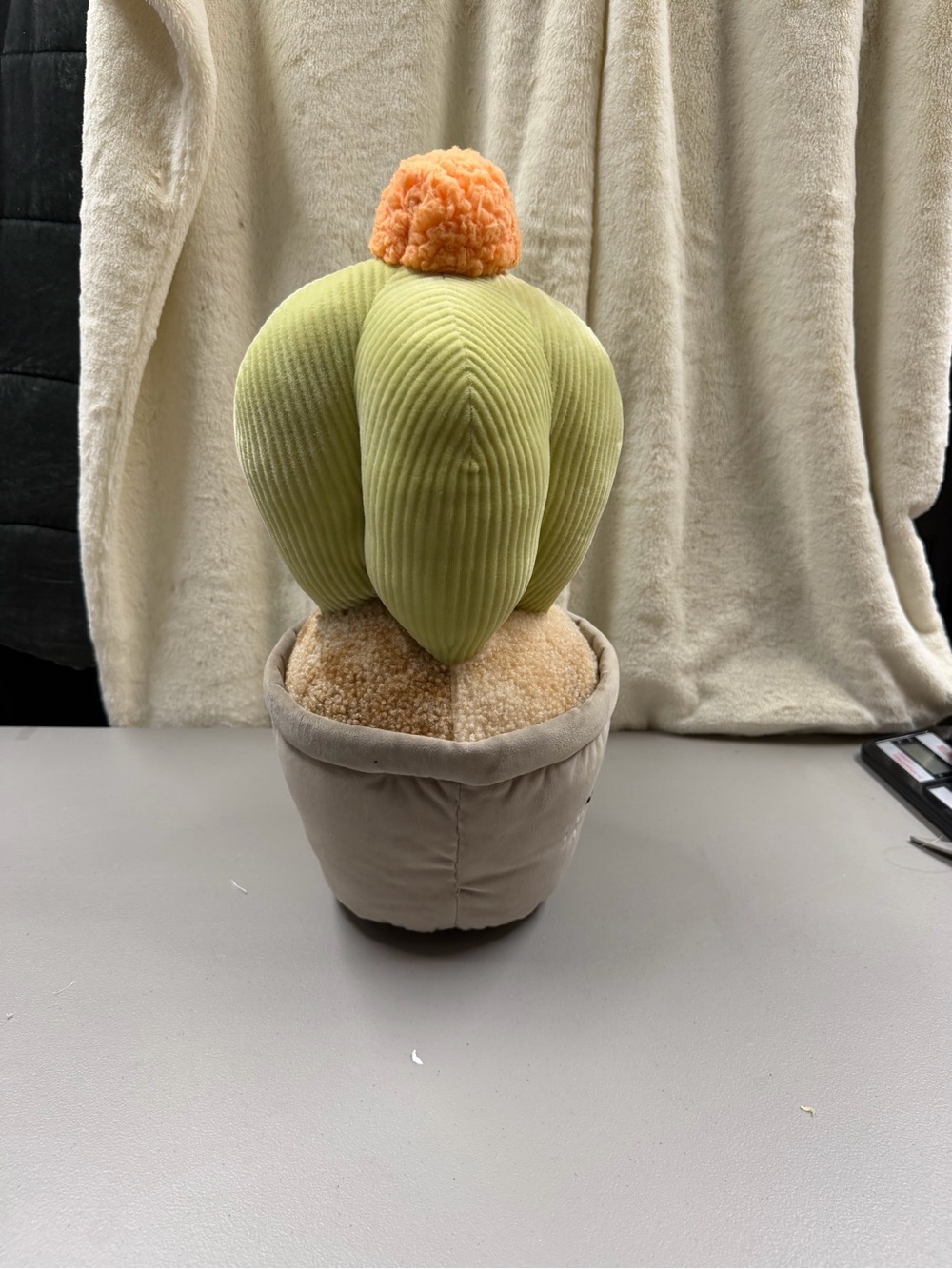 Cute Cactus - Picture 4 of 7